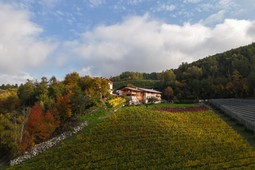 B&B + Appartamenti in agriturismo Trinnerhof