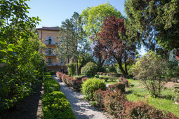 Hotel Elephant