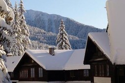 Hotel Forestis
