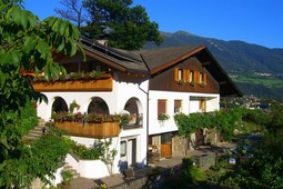 Farmhouse B&B + Apartments Tschiedererhof