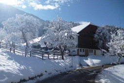 B&B + Appartamenti in agriturismo Baumannhof