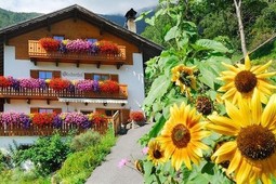 B&B + Appartamenti in agriturismo Stocknerhof