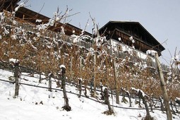 Appartamenti in agriturismo Hofer Hof