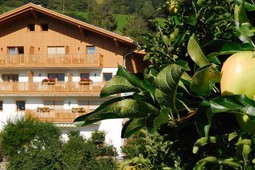 Pension + Ferienwohnungen Huberhof