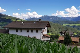 Farmhouse apartments Schweiggerhof