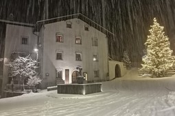 Farmhouse B&B + Apartments Ansitz Zehentner