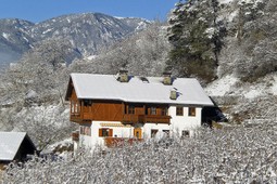 Appartamenti in agriturismo Prackfiedererhof