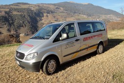 Taxi Oberpertinger Georg