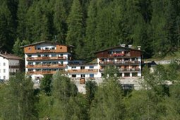 Hotel Des Alpes