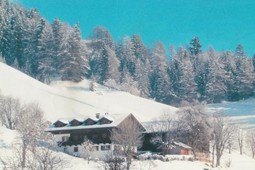 Farmhouse apartments Wiesthalerhof