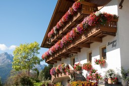 Appartamenti Kinigerhof