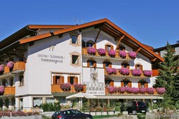 Hotel Tschurtschenthaler