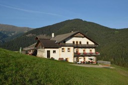 Farmhouse B&B + Apartments Gostnerhof