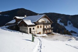 Farmhouse B&B + Apartments Gostnerhof