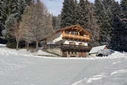 Farmhouse apartments Baumannhof