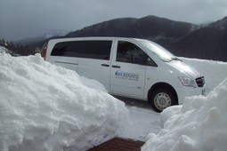 Taxi Renato
