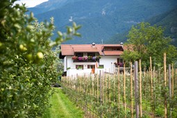 B&B + Appartamenti Wielander Sackgut