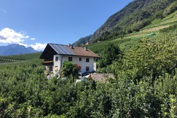 Farmhouse apartments Pixnerhof