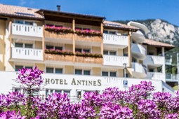 Hotel Antines