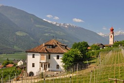 Ferienwohnungen auf dem Bauernhof Klostergut
