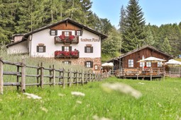 Malga Leadner Alm