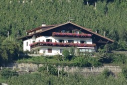 Pension + Ferienwohnungen Greiterhof