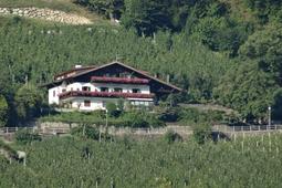 Pensione + Appartamenti Greiterhof