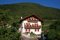 Farmhouse apartments Rochelehof