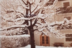 Pensione Gartscheid