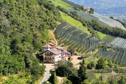 Appartamenti in agriturismo Törggelehof
