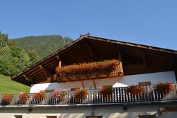 Farmhouse apartments Engethalerhof