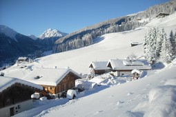 Farmhouse apartments Oberhof
