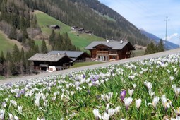 Appartamenti in agriturismo Oberhausgut