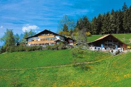 Gasthof (Albergo) Rastlhof
