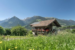 Farmhouse apartments Lothhof