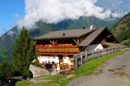 Farmhouse Hotel + Apartments Patleidhof