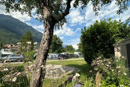 Campsite Adler