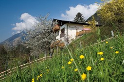 Garni + Appartamenti Haus Gilli
