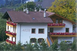 Farmhouse apartments Almbergerhof