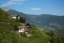 B&B + Ferienwohnungen auf dem Bauernhof Unterkronsbichl