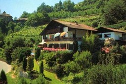 Apartments Martinsheim