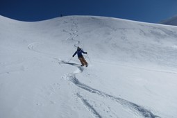 Mountain guide Welscher Hansjörg