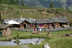 Malga Bergl
