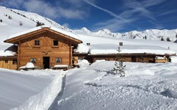 Alpine farm Bergl