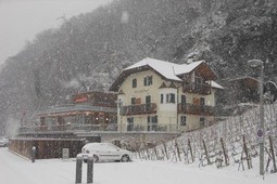 Hotel Ottenkellerhof