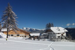 Ferienwohnungen auf dem Bauernhof Stücklhof