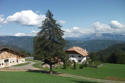 Ferienwohnungen auf dem Bauernhof Stücklhof