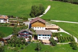 Ferienwohnungen auf dem Bauernhof Haflingerhof