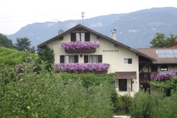 B&B + Appartamenti in agriturismo Heinrich Hof