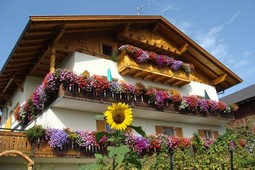 Appartamenti in agriturismo Kastnerhof